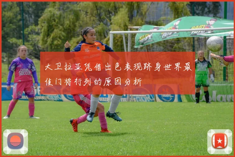 大卫拉亚凭借出色表现跻身世界最佳门将行列的原因分析