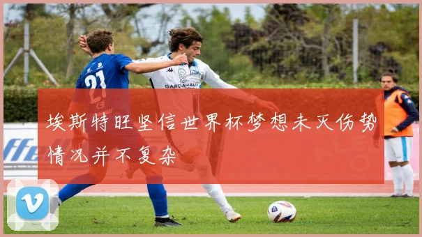 埃斯特旺坚信世界杯梦想未灭伤势情况并不复杂