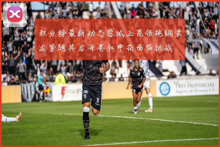 积分榜最新动态蓉城玉昆领跑铜梁龙紧随其后海港和申花面临挑战